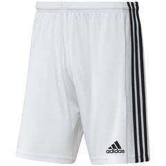 adidas Spodenki SQUADRA 21 Short GN5773 białe, Kolor: biały, Rozmiar: L