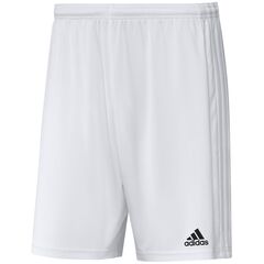 adidas Spodenki SQUADRA 21 Short GN5774 białe, Kolor: biały, Rozmiar: XXL