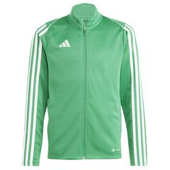 adidas Bluza TIRO 23 JKT Junior IC7872 zielona, Kolor: zielony, Rozmiar: 152 cm