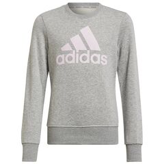 adidas Bluza młodzieżowa Big Logo SWT HM8706 szara, Kolor: szary, Rozmiar: 140 cm