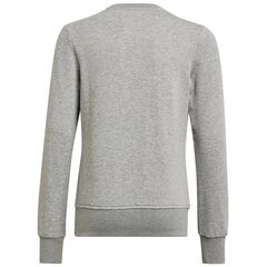 adidas Bluza młodzieżowa Big Logo SWT HM8706 szara, Kolor: szary, Rozmiar: 140 cm, 2 zdjęcie