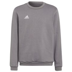 adidas Bluza ENTRADA 22 Sweat Top Y H57477 szara, Kolor: szary, Rozmiar: 128 cm
