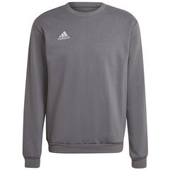 adidas Bluza ENTRADA 22 Sweat Top H57479 szara, Kolor: szary, Rozmiar: XXXL