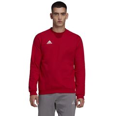 adidas Bluza ENTRADA 22 Sweat Top HB0577 czerwona, Kolor: czerwony, Rozmiar: M, 2 zdjęcie