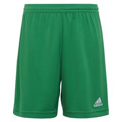 ADIDAS spodenki chłopięce sportowe krótkie IC7410 zielone, Kolor: zielony, Waga: 410-450g, Rozmiar: 176 cm
