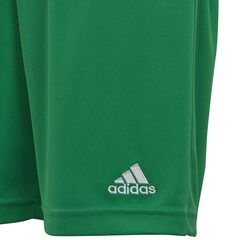 ADIDAS spodenki chłopięce sportowe krótkie IC7410 zielone, Kolor: zielony, Waga: 410-450g, Rozmiar: 176 cm, 4 zdjęcie