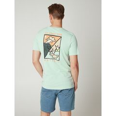 PROTEST Koszulka męska PRTABDIEL zielona, Kolor: szary, Rozmiar: M, 5 zdjęcie