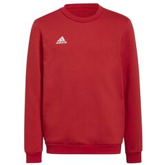 ADIDAS bluza chłopięca treningowa bawełniana H57473 czerwona, Kolor: czerwony, Rozmiar: 176 cm