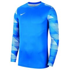Nike Bluza Y Park IV GK Boys CJ6072 463 niebieska, Kolor: niebieski, Rozmiar: XS (122-128cm)
