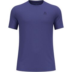 Koszulka męska Odlo BL TOP crew neck s/s MERINO 160 niebieska, Kolor: niebieski, Rozmiar: M