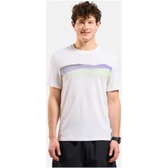 Koszulka męska Odlo F-DRY RIDGELINE T-shirt crew neck s/s biały