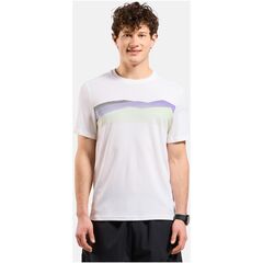 Koszulka męska Odlo F-DRY RIDGELINE T-shirt crew neck s/s biały, Kolor: biały, Rozmiar: L
