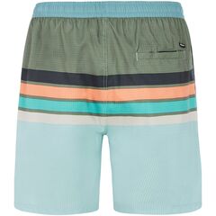 Szorty plażowe męskie PROTEST PRTAvik zielone, Kolor: zielony, Rozmiar: M, 2 zdjęcie