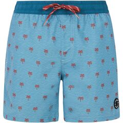 Szorty plażowe męskie PROTEST PRTParco niebieskie, Kolor: niebieski, Rozmiar: L