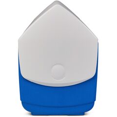 Lodówka IGLOO Playmate Elite (15 litrów), 2 zdjęcie