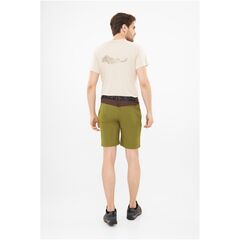 Spodenki męskie VIKING Sequoia Bamboo zielone