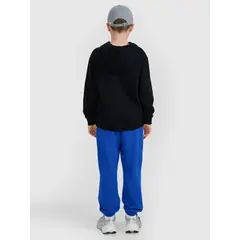 4F bluza chłopięca z kapturem