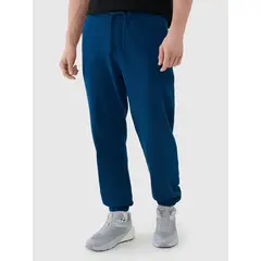 4F spodnie męskie z dzianiny french terry z kolekcji basic