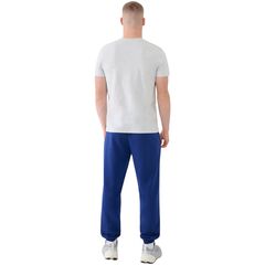 4F spodnie męskie z dzianiny french terry z kolekcji basic