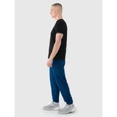 4F spodnie męskie z dzianiny french terry z kolekcji basic