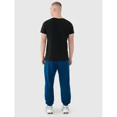 4F spodnie męskie z dzianiny french terry z kolekcji basic