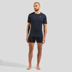 Koszulka z krótkim rękawem męska ODLO Merino 160 BL Top Crew Neck S/S czarna
Koszulka z krótkim rękawem męska ODLO Merino 160 BL Top Crew Neck S/S czarna