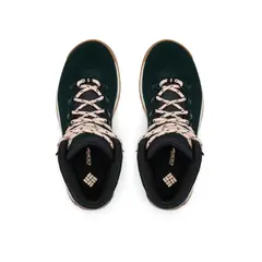 COLUMBIA buty damskie NEWTON RIDGE™ PLUS WATERPROOF AMPED czarny