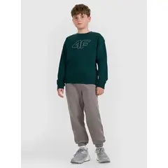 4F bluza dresowa chłopięca bez kaptura 4FWAW25TSWSM1960 zielony