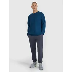 4F koszulka z długim rękawem męska longsleeve 4FWAW25TLONM474 niebieski