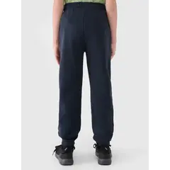 4F spodnie z dzianiny chłopięce z meszkiem wewnątrz 4FJWMM00TTROM1510 granatowe, Kolor: granatowy, Rozmiar: 146, 3 zdjęcie