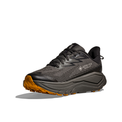 HOKA buty męskie do biegania Challenger 8 GTX szare, Kolor: szary, Rozmiar: 41 1/3, 2 zdjęcie