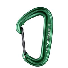BLACK DIAMOND karabińczuk MINIWIRE CARABINER zielony, Kolor: zielony, Rozmiar: one size