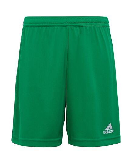 ADIDAS spodenki chłopięce sportowe krótkie IC7410 zielone, Kolor: zielony, Waga: 0.2, Rozmiar: 164