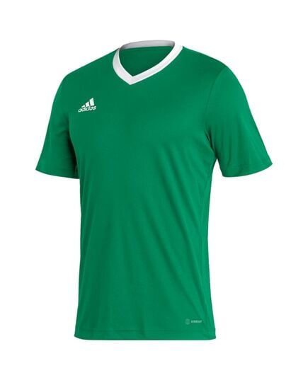 ADIDAS koszulka treningowa męska t-shirt do ćwiczeń Entrada HI2123 zielony, Kolor: zielony, Waga: 0.2, Rozmiar: S