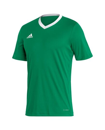 ADIDAS koszulka treningowa męska t-shirt do ćwiczeń Entrada HI2123 zielony, Kolor: zielony, Waga: 0.2, Rozmiar: M