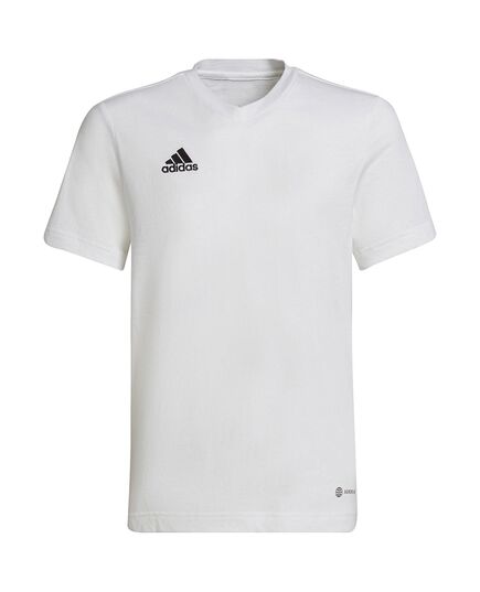 ADIDAS koszulka treningowa chłopięca t-shirt do ćwiczeń Entrada HC0447 biała, Kolor: biały, Waga: 0.2, Rozmiar: 152