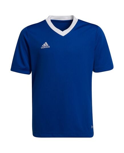 ADIDAS koszulka dzieciąca sportowa Entrada HG3948 niebieska, Kolor: niebieski, Waga: 0.2, Rozmiar: 140