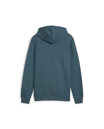 PUMA bluza męska z kapturem bawełniana ESS Big Logo Hoodie szara, Kolor: szary, Waga: 0.4, Rozmiar: XL