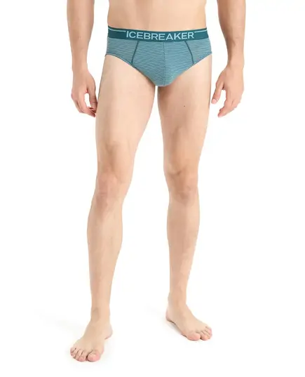 Icebreaker Slipy męskie z wełny merino Anatomica Briefs zielone, Waga: 0.5, Rozmiar: S