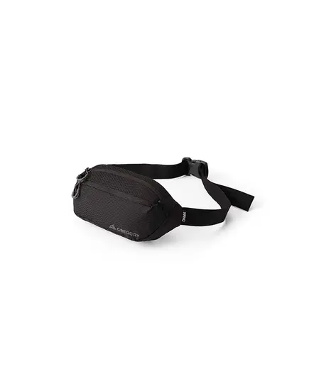 Gregory saszetka biodrowa Nano Waistpack Mini - optic black