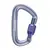 BLACK DIAMOND karabińczyk SCREWGATE CARABINER BLACK DIAMOND karabińczyk SCREWGATE CARABINER