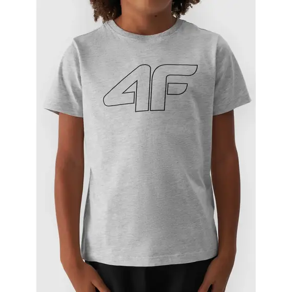 4F JUNIOR T-shirt bawełniany M1627 szary, Kolor: szary, Rozmiar: 164, 4 zdjęcie