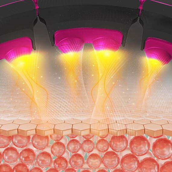 HMS zestaw do odchudzania hula hop fitness z licznikiem  HHM16 + pas neoprenowy BR163, 9 zdjęcie