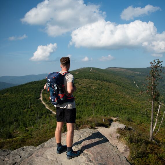 Plecak turystyczny w góry 30+10L  NILS CAMP NORTHLAKE  NC1993 granatowy, Kolor: granatowy, Waga: 0,8, Rozmiar: one size, 13 zdjęcie