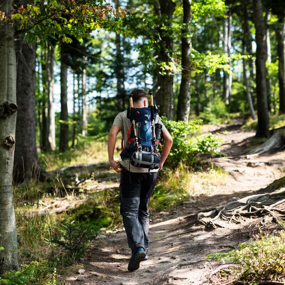 Plecak turystyczny w góry 30+10L  NILS CAMP NORTHLAKE  NC1993 granatowy, Kolor: granatowy, Waga: 0,8, Rozmiar: one size, 4 zdjęcie