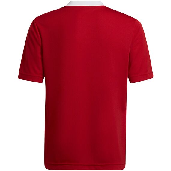 ADIDAS t-shirt chłopięcy treningowy koszulka do ćwiczeń H57496 czerwona, Kolor: czerwony, Waga: 0.2, Rozmiar: 152, 2 zdjęcie