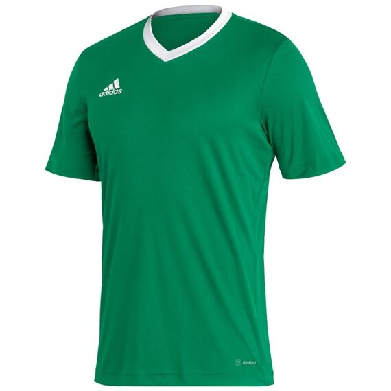 ADIDAS koszulka treningowa męska t-shirt do ćwiczeń Entrada HI2123 zielony, Kolor: zielony, Waga: 0.2, Rozmiar: S
