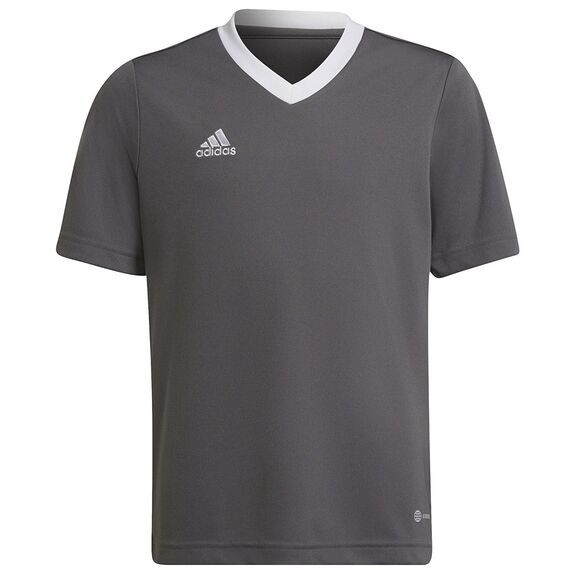 adidas Koszulka młodzieżowa ENTRADA 22 JSY Y H57499 szara, Kolor: szary, Rozmiar: 116 cm