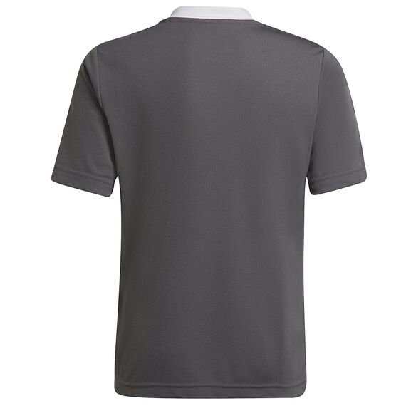 adidas Koszulka młodzieżowa ENTRADA 22 JSY Y H57499 szara, Kolor: szary, Rozmiar: 164 cm, 2 zdjęcie