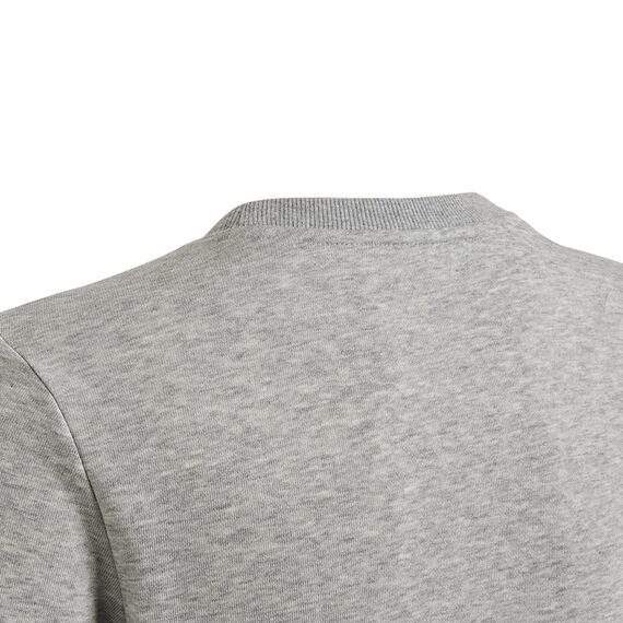 adidas Bluza młodzieżowa Big Logo SWT HM8706 szara, Kolor: szary, Rozmiar: 152 cm, 4 zdjęcie